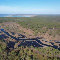 Navigating the Complex Political Landscape of Northwest Florida