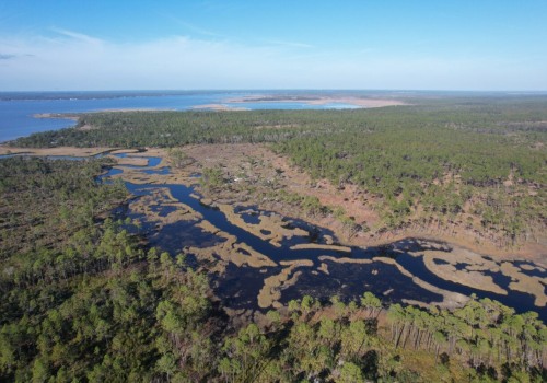 Navigating the Complex Political Landscape of Northwest Florida