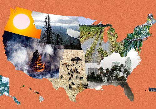Navigating the Political Landscape of Northwest Florida