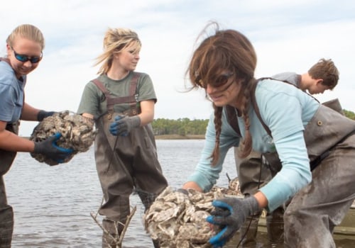 The Environmental Challenges Shaping Politics in Northwest Florida